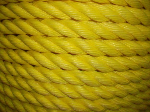 Diameter yellow poly - diameter,